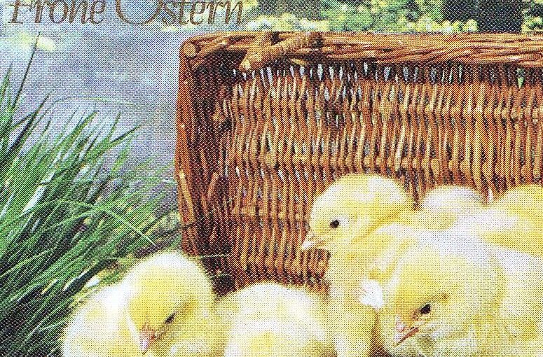 Eine Postkarte, auf der "frohe Ostern" steht und Küken zu sehen sind.